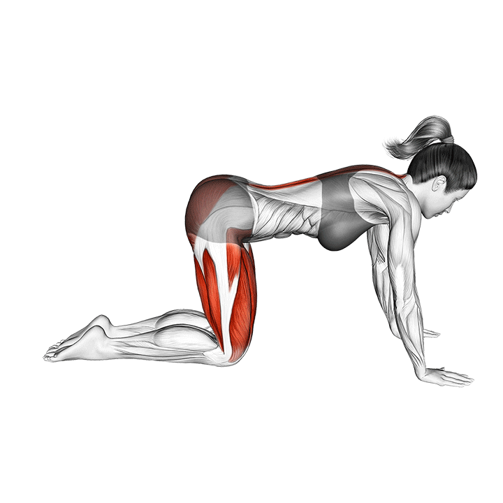 बालासन (Child Pose) चेहरे को ग्‍लोइंग बनाता है ये आसन The AARN Group