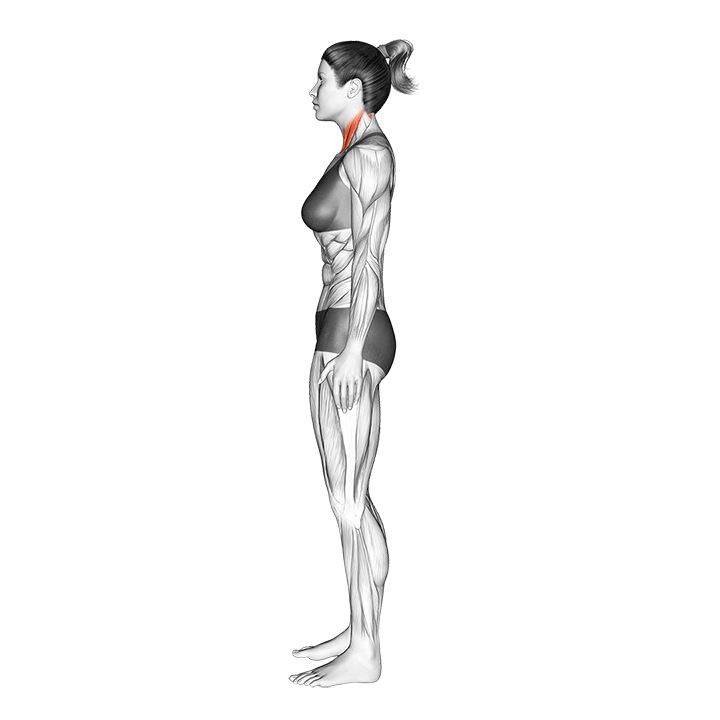 Chin Tuck How To Do Properly & Muscles Worked