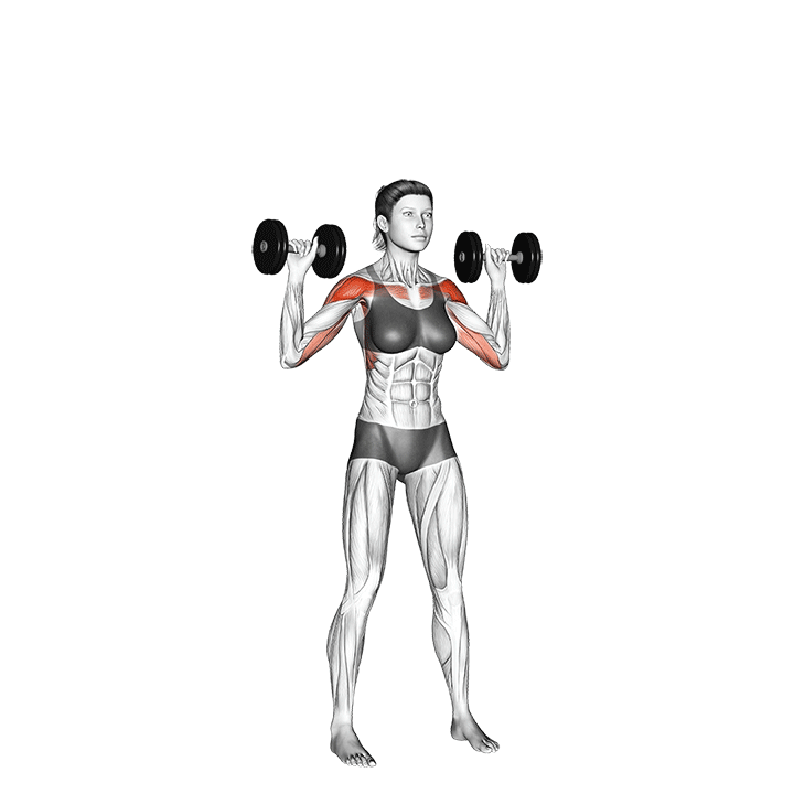 Dumbbell Shoulder Press How To Do Properly & Muscles Worked