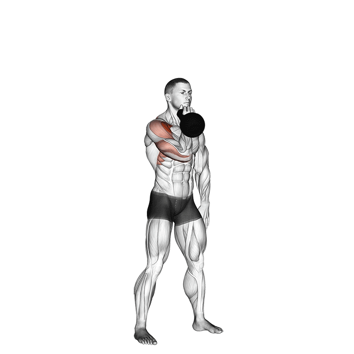 Kettlebell Arnold Press How To Do Properly & Muscles Worked