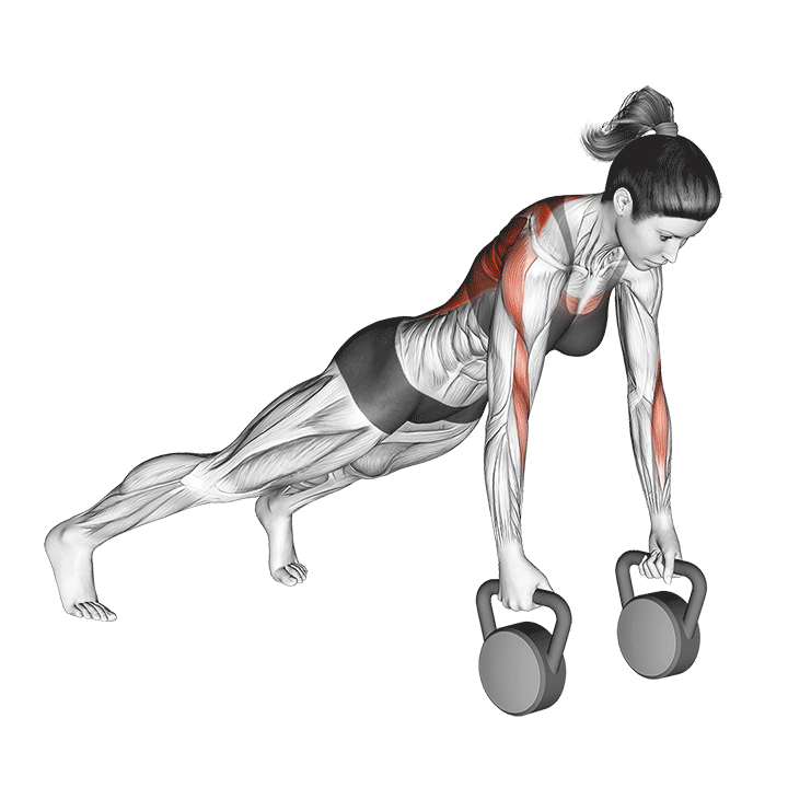 Kettlebell Renegade Row How To Do Properly & Muscles Worked