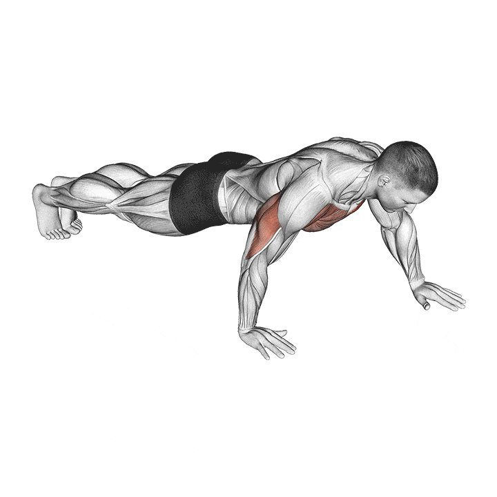 Pushups How To Do Properly & Muscles Worked