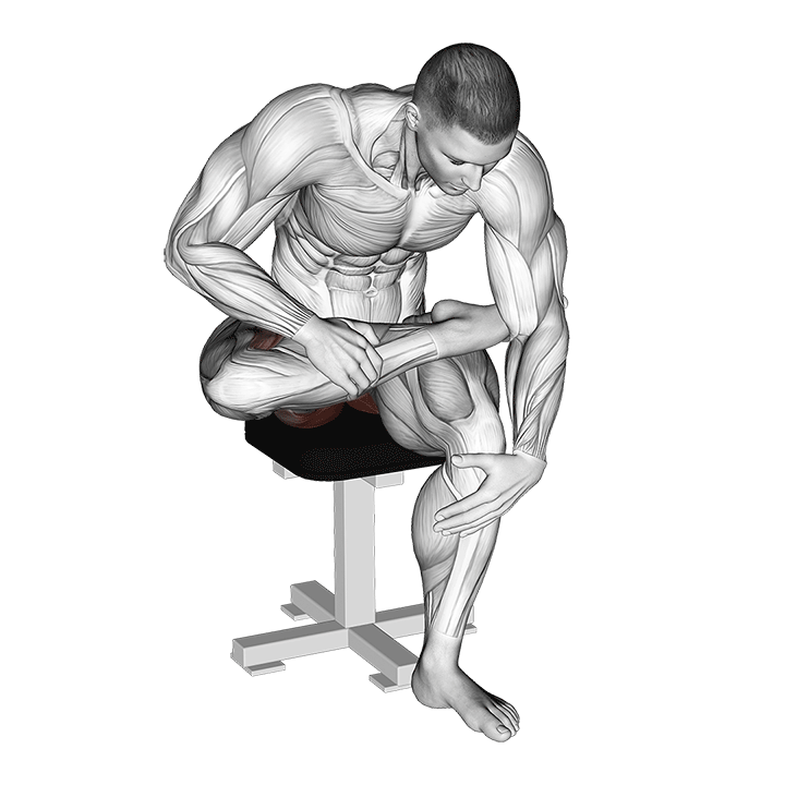 Seated Piriformis Stretch How To Do Properly & Muscles Worked