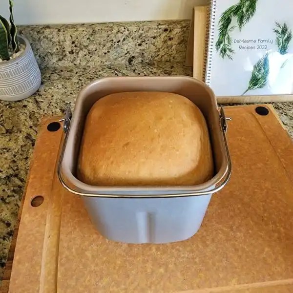 Neretva Bread Maker Machine (Tested & Reviewed)