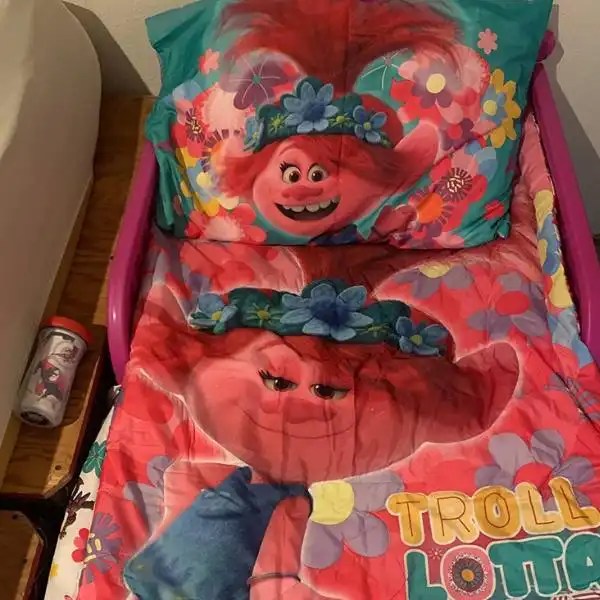 DreamWorks Toddler Bedding Set (Tested & Reviewed)