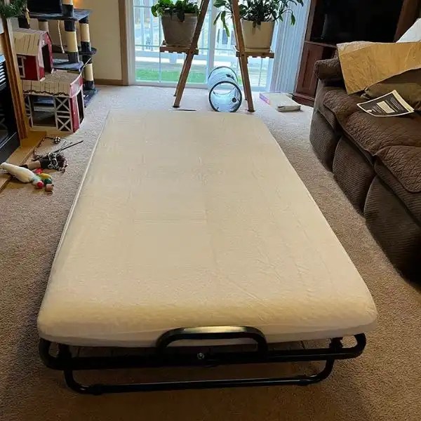 Milliard Deluxe Diplomat Folding Bed (Tested) 2023