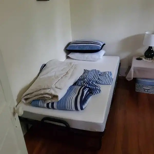 Milliard Deluxe Diplomat Folding Bed (Tested) - 2023