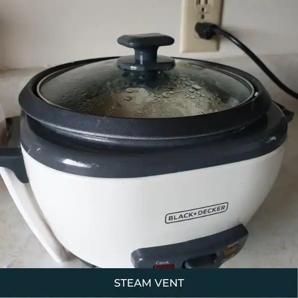 BLACK+DECKER 2in1 Rice Cooker Review