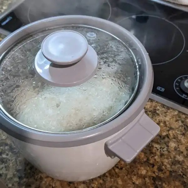 5 Techniques with a Japanese Rice Cooker
