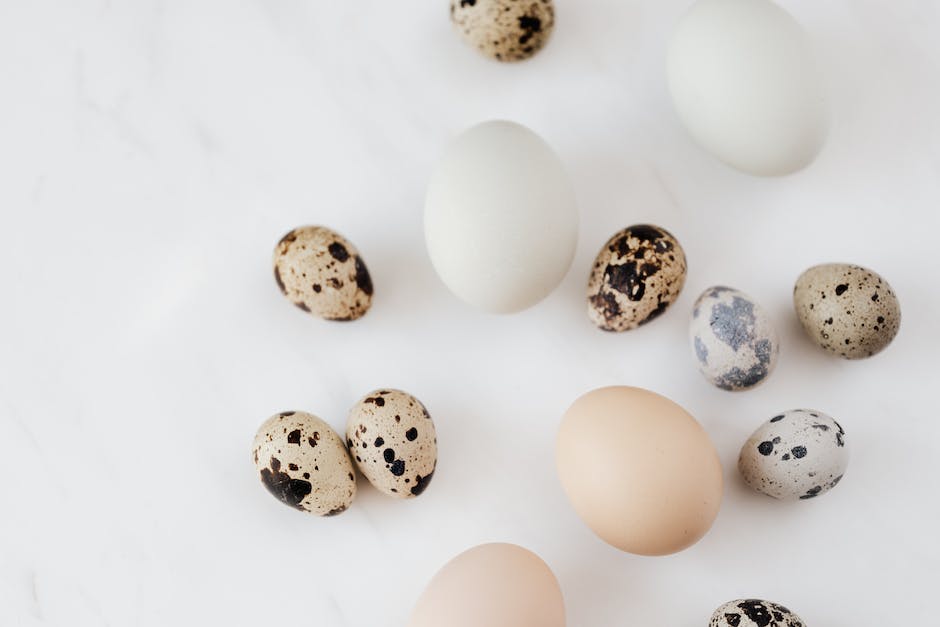 Chicken Egg Shell Color Chart Homey Gears