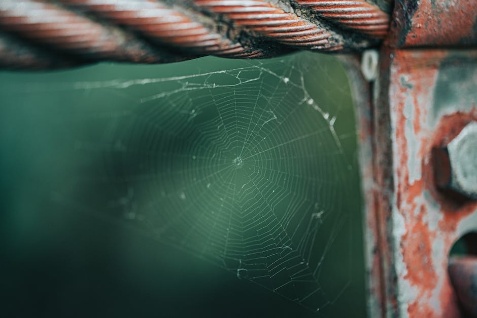 What Causes Spider s In Auto Paint Homey Gears