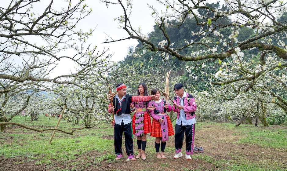 What Is A Upc Code For Music Homey Gears