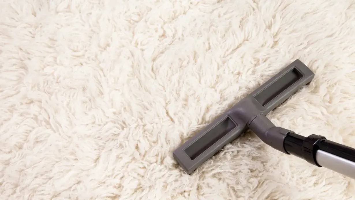 How to Clean Shag Rug (Do It Like An Expert)