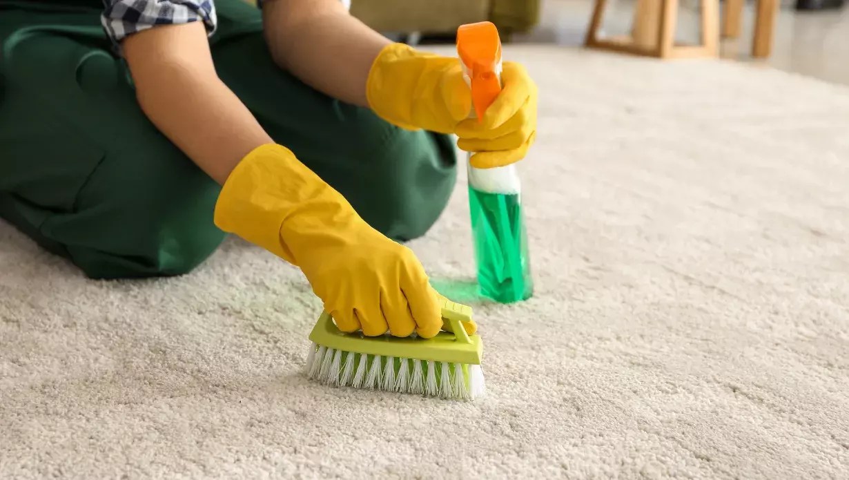 How to Clean Carpet Without Vacuum Quick Ways