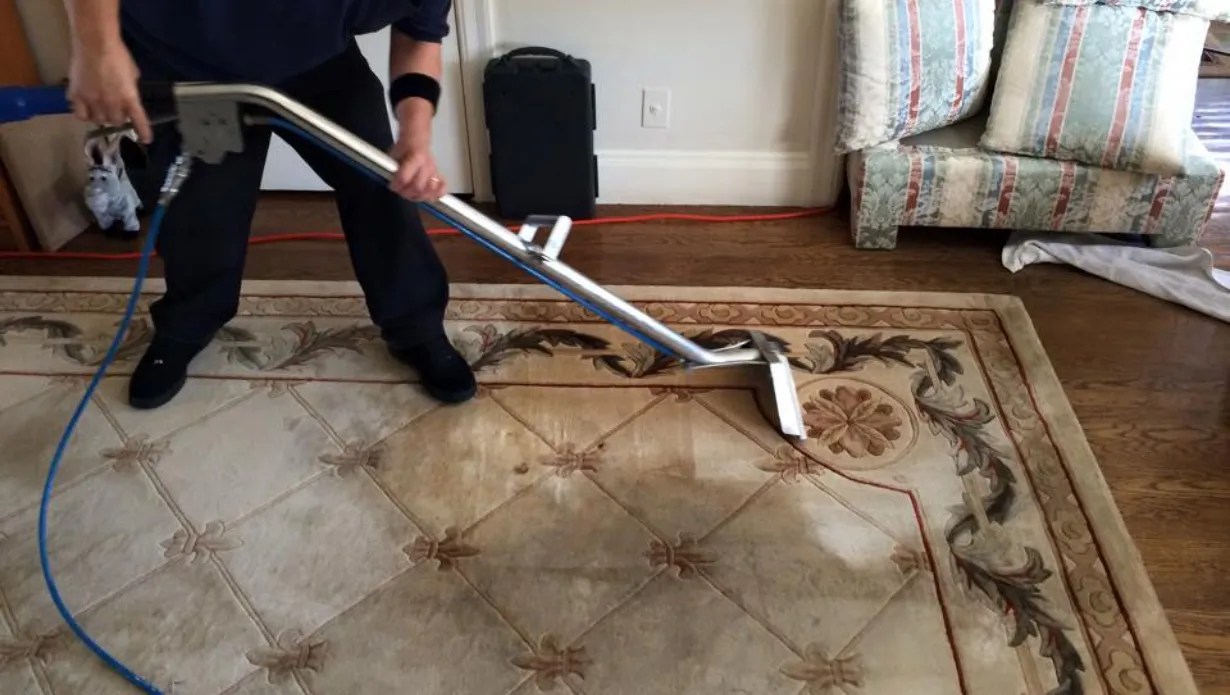 How to Clean a Wool Rug? A Detailed Cleaning Guide