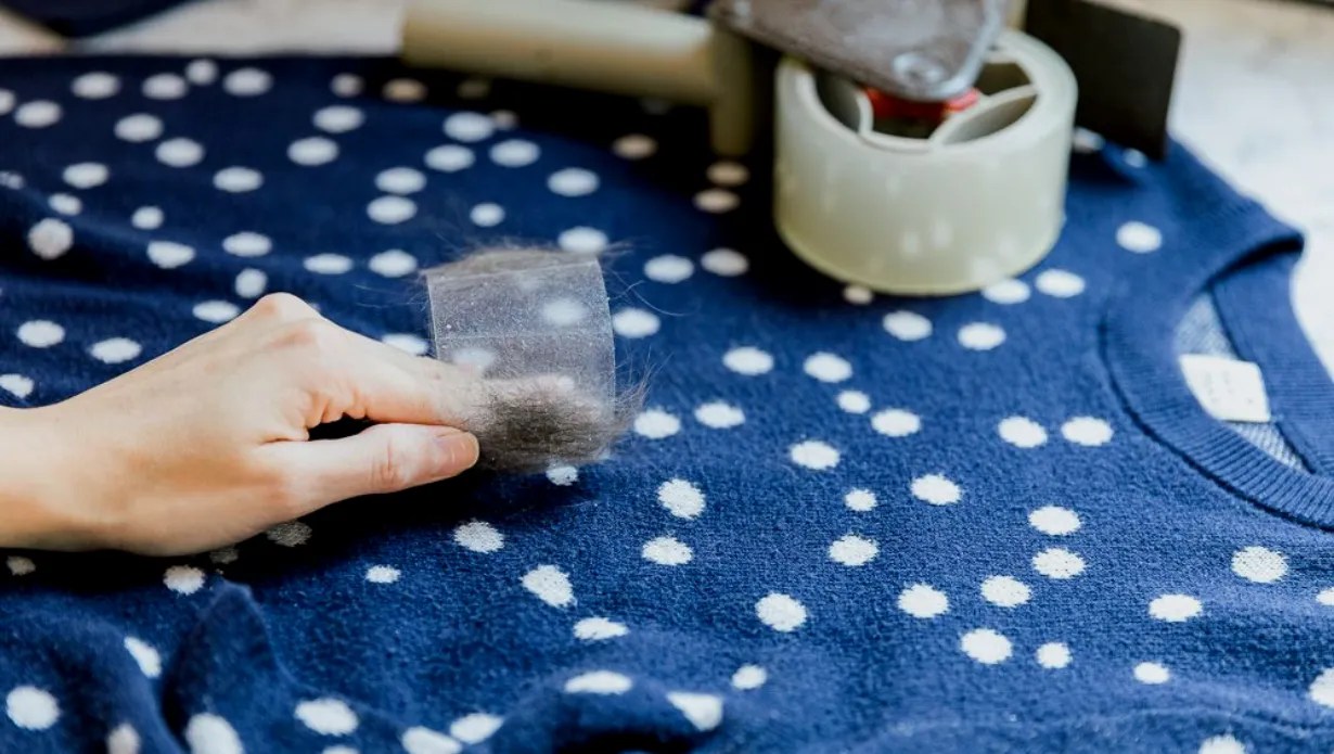 How to Remove Cat Hair from Clothes?