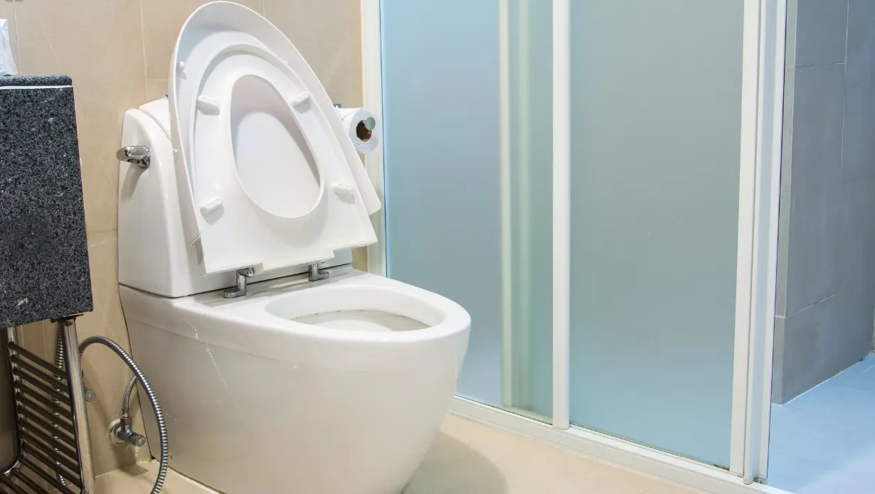 How to Choose a Toilet 5 Tips for Homeowners