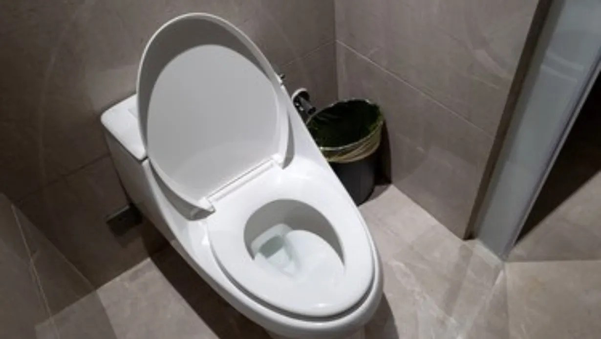 How to Troubleshoot Glacier Bay Toilets?