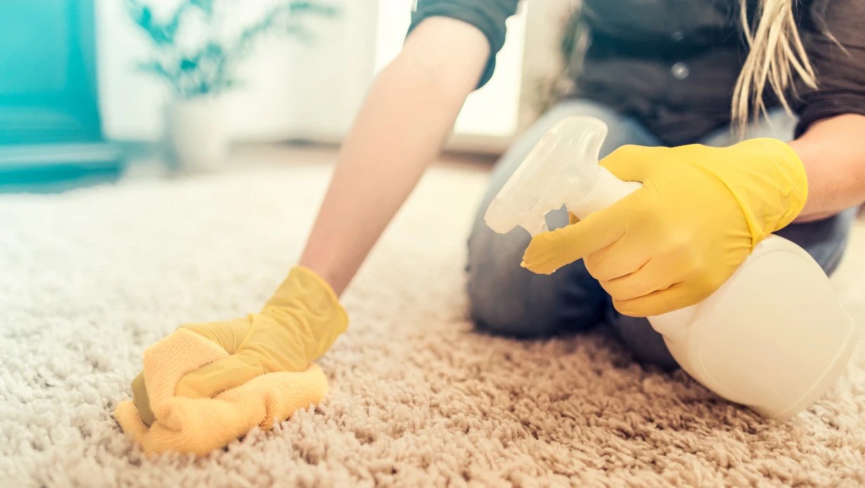 How to Clean Wool Carpet? (Easy to Follow Guide)