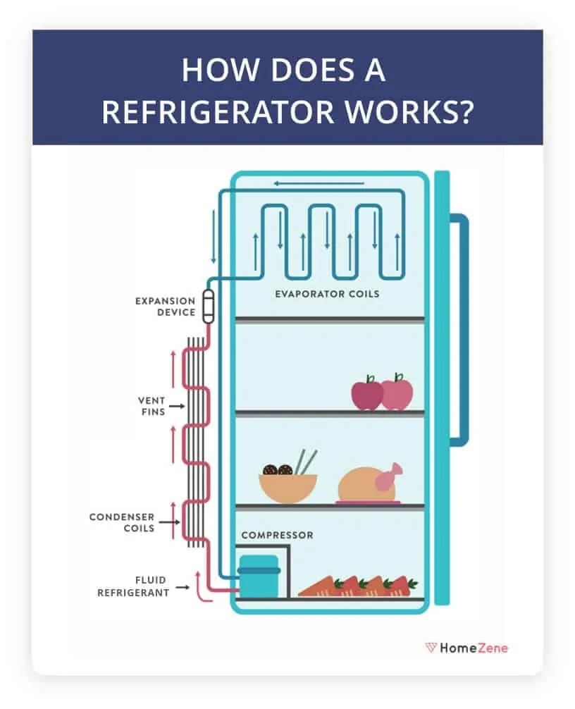 Top 11 Best Refrigerators in India 2022 Reviews & Buying Guide