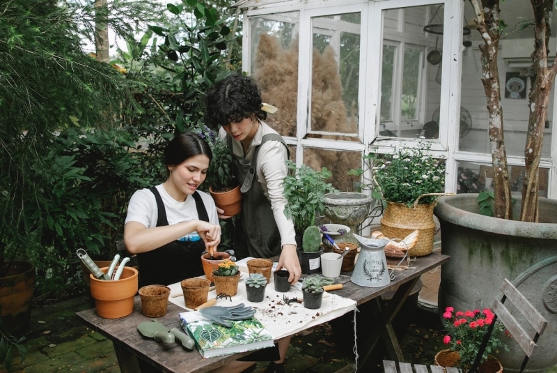 How To Get More Use Out of Your Yard Space Home Zenith