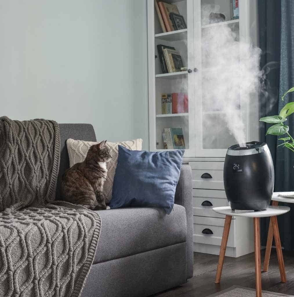 How Do Ultrasonic Humidifiers Work? 2024 Full Guide