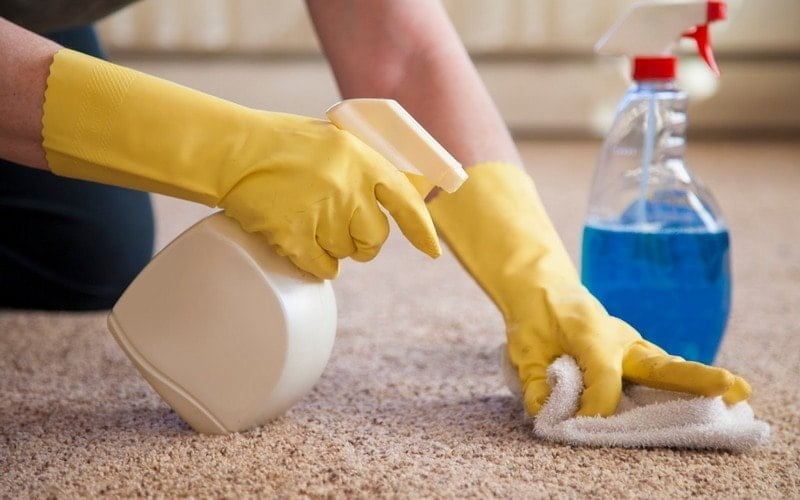 How to Get Wood Glue out of Carpet The Easy Way HOMIVI