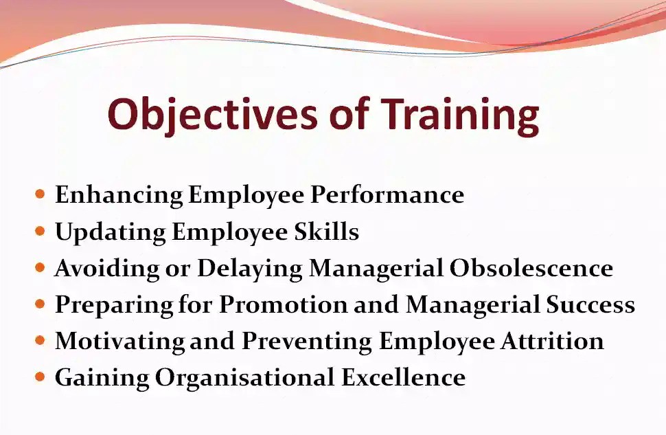 Training Meaning, Definition, Objectives, Process Honable