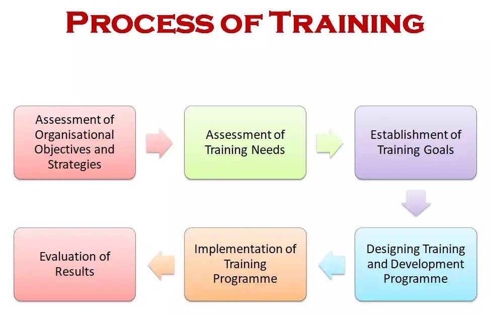 Training Meaning, Definition, Objectives, Process Honable