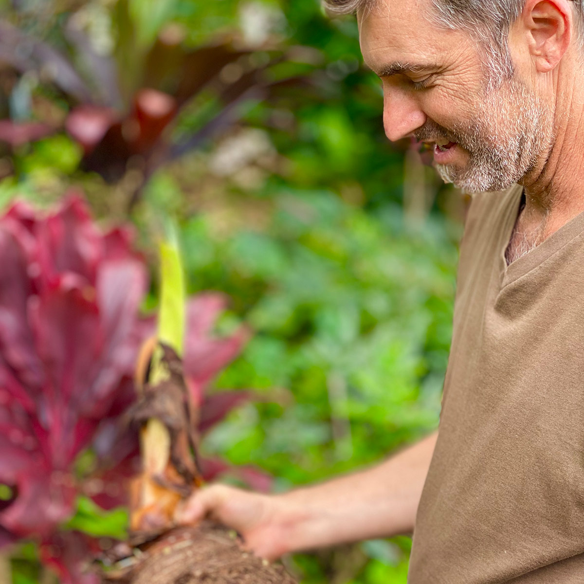 Honaunau Farm Visual Gallery