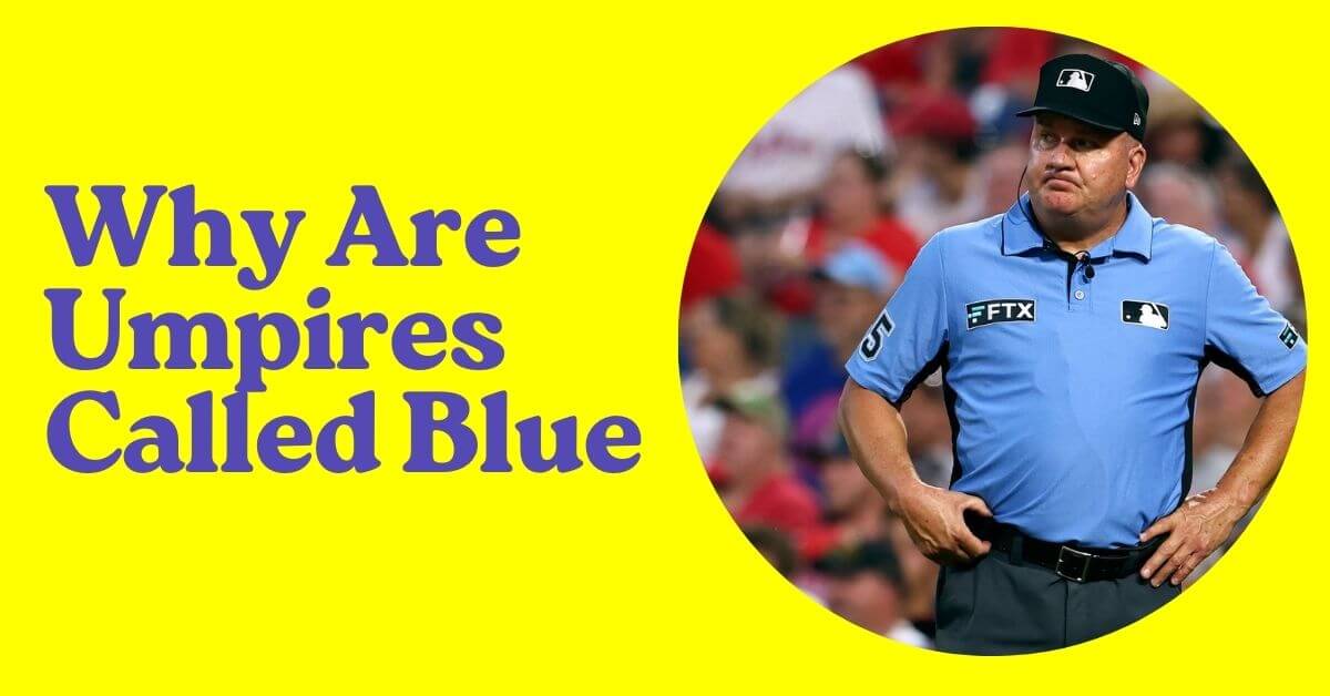 Why Are Umpires Called Blue Honest Baseball