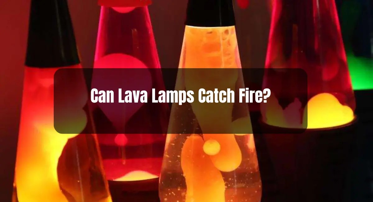 Lava Lamps Honest Gadget