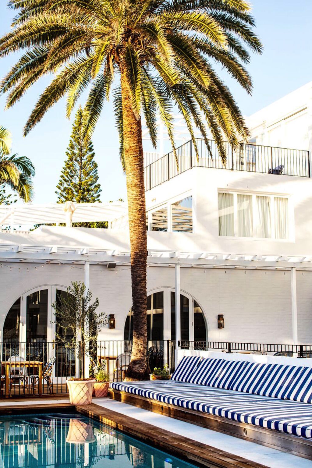 Halcyon House Honestly WTF