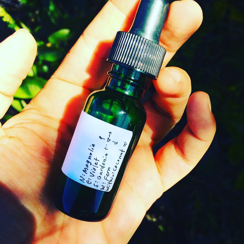 Plumeria Flower Essence Restoration Vibrational Remedy Honest Owl