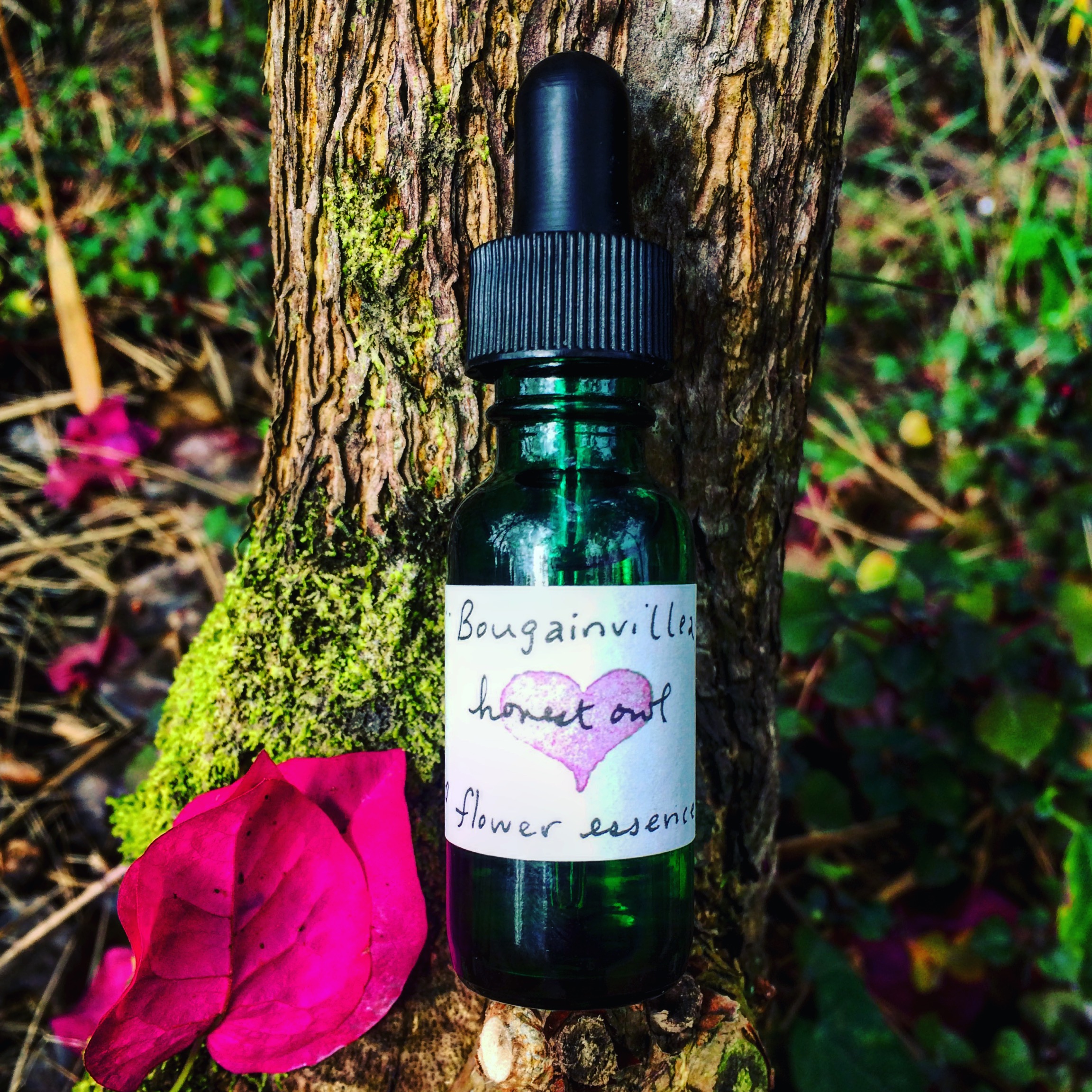 Root Chakra Flower Essence Honest Owl Herbal