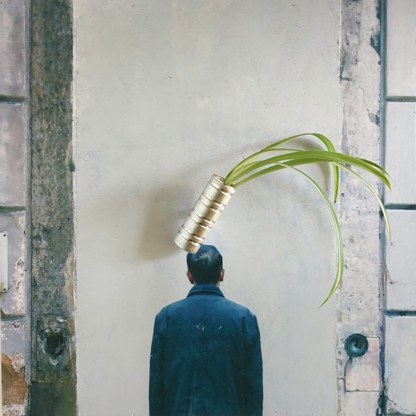 PLANTS CAN MOVE THINGS Honevo