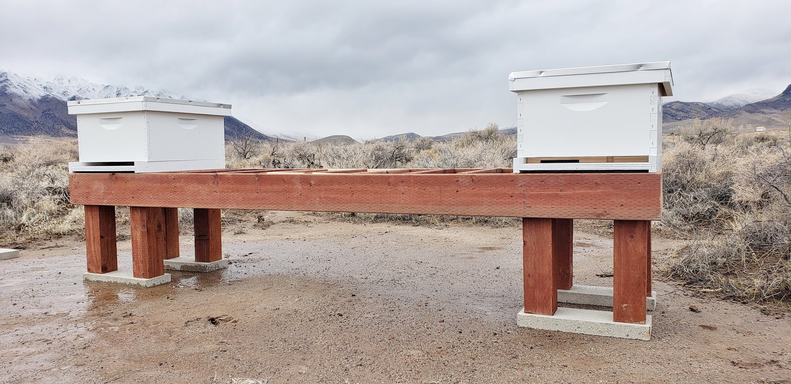 Beehive Stands DIY & PreBuilt Options To Consider