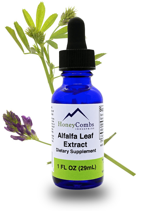 Liquid Alfalfa Extract Support A Healthy Body Alternatively