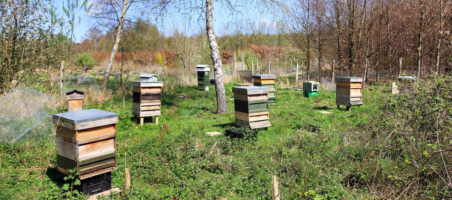 Honey Crystallisation Facts Honey Cube