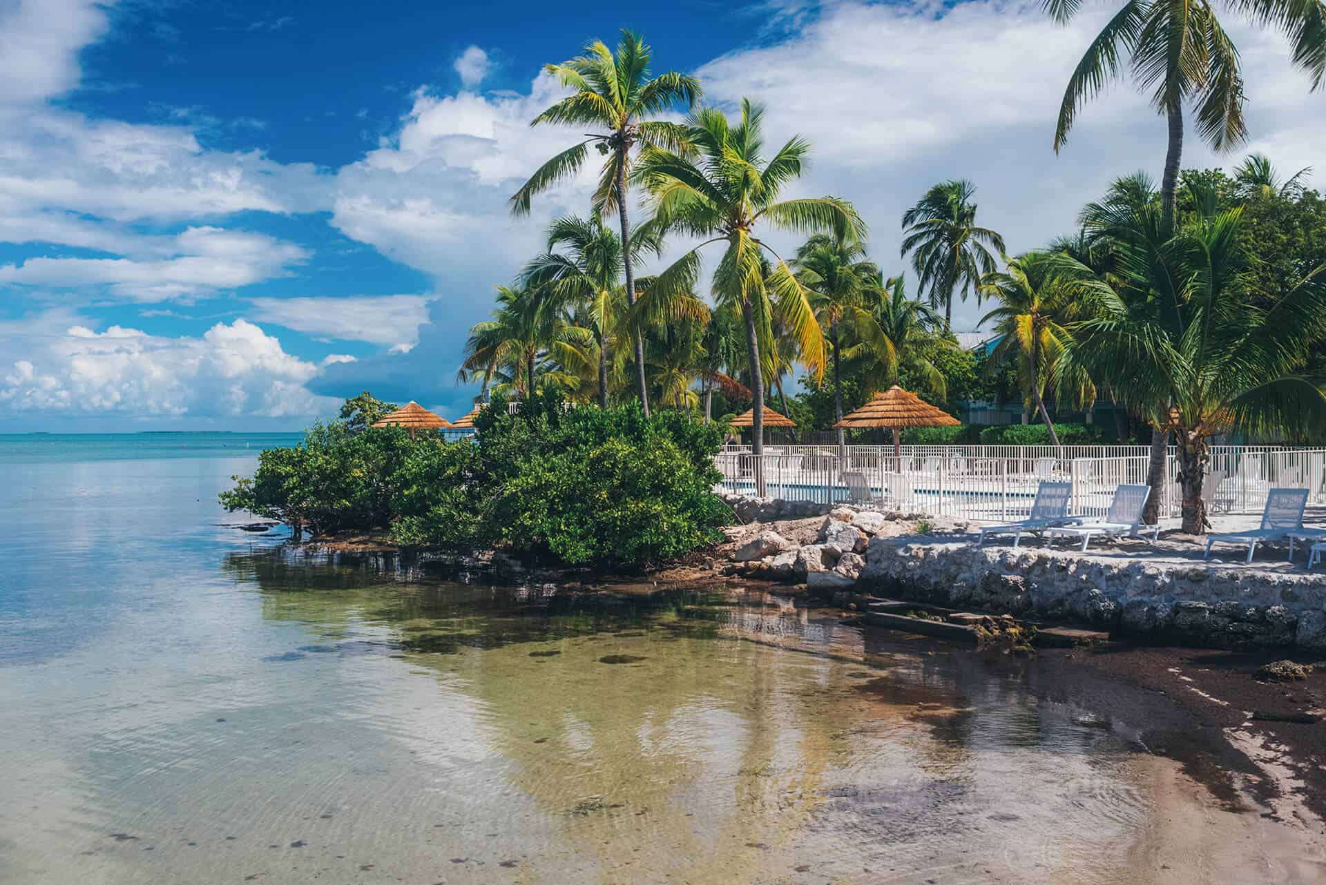 Lime Tree Bay Resort Review for 2024