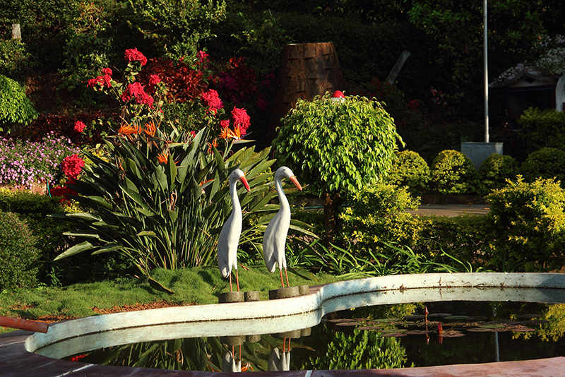 Home Honeypot Homes Homestay Independent Cottage Nature