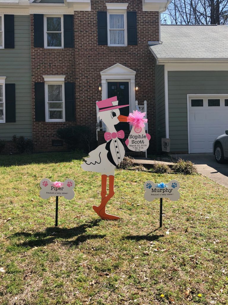 Durham Storks & Baby Announcement Signs Honeysuckle Storks & More