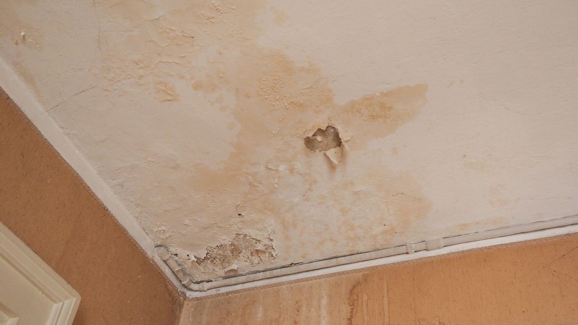 Last van een Vochtprobleem in huis? Honkoop Bouwservice