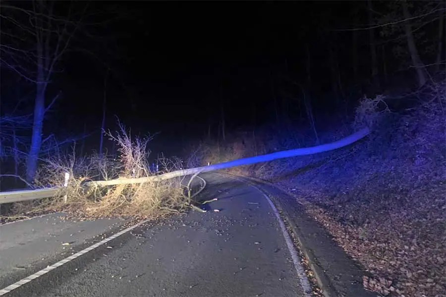 Baum entwurzelt Honnef heute Nachrichten aus Bad Honnef, Bonn und