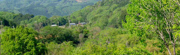山の上から見た春のほのぼのハウス