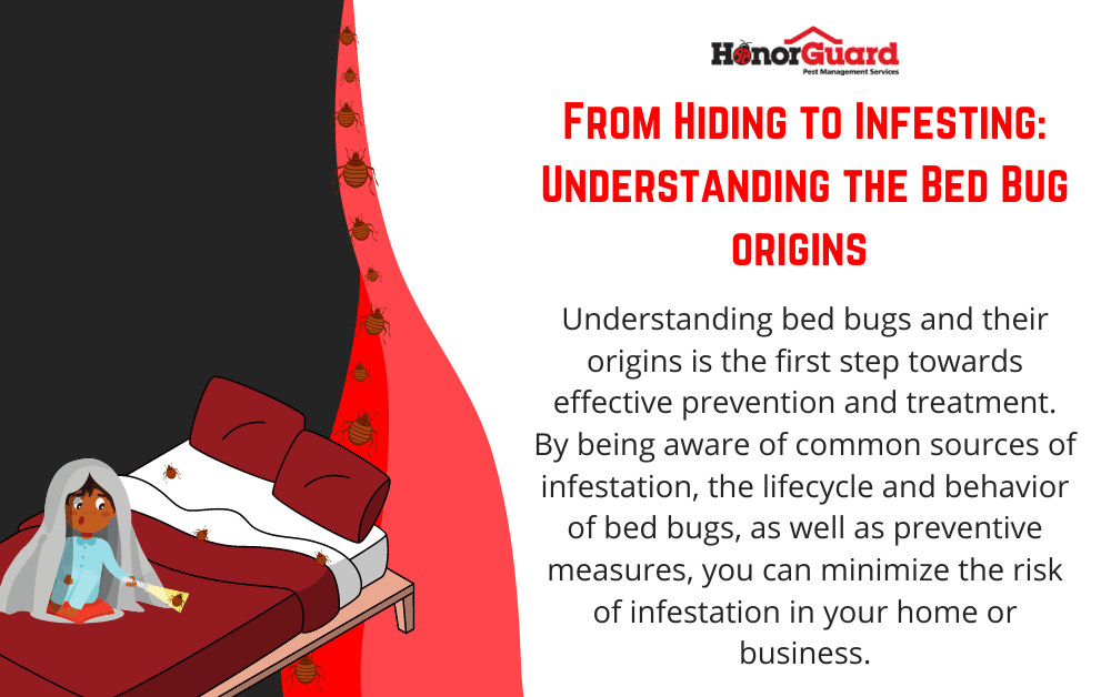 From Hiding to Infesting Understanding the Bed Bug Origins