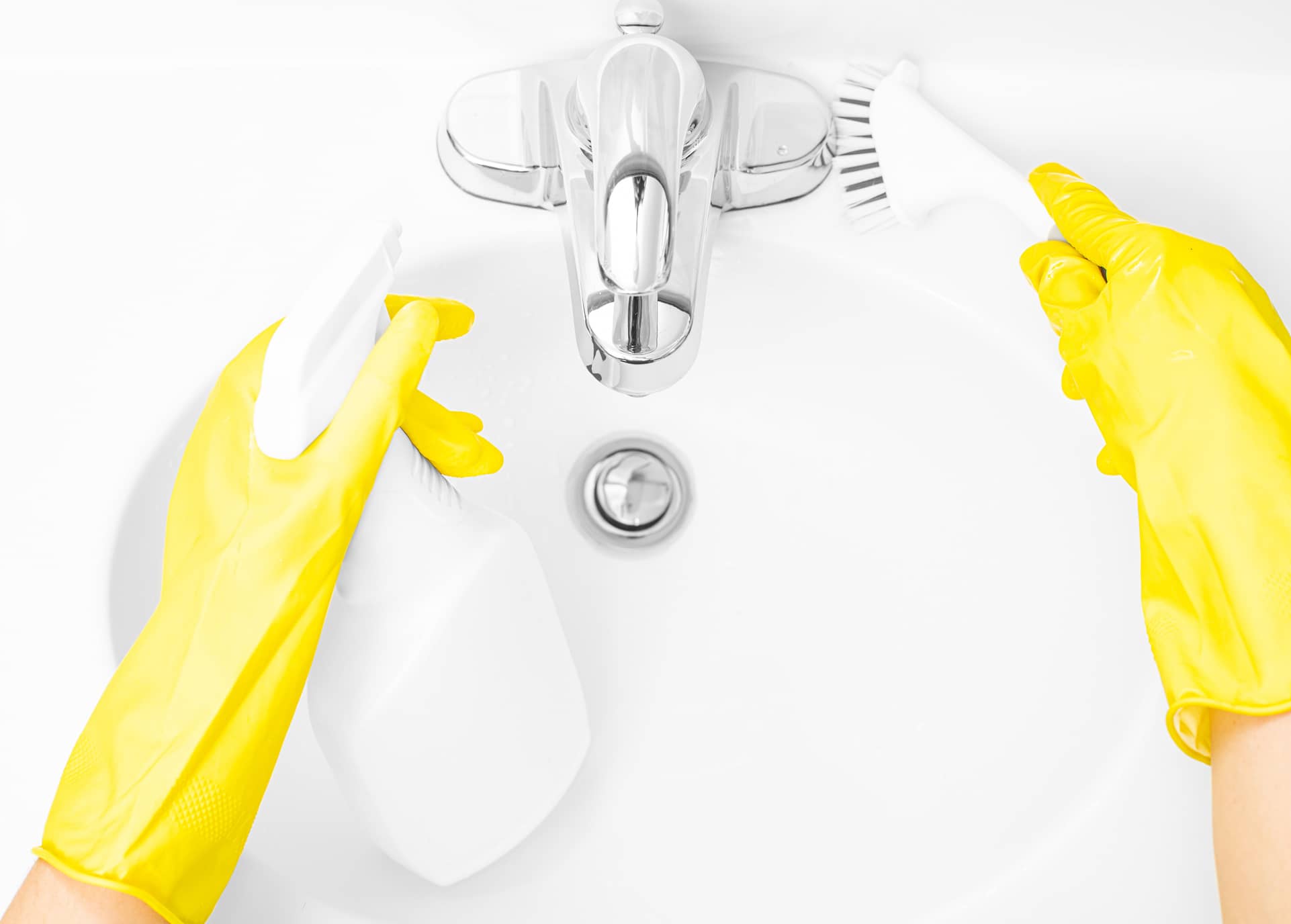 Will Bleach Kill Drain Flies? Honor Services