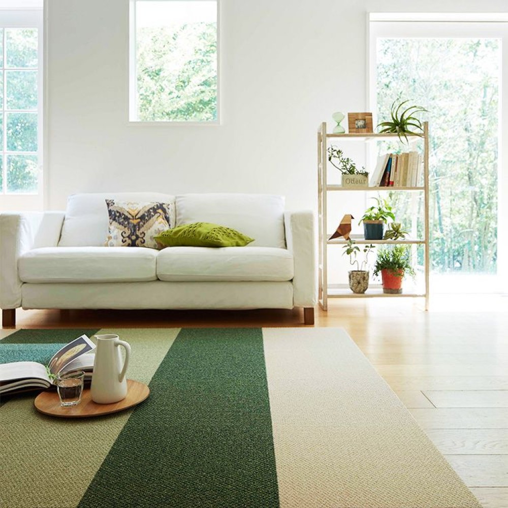 Best Carpet for Home Use in 2023!