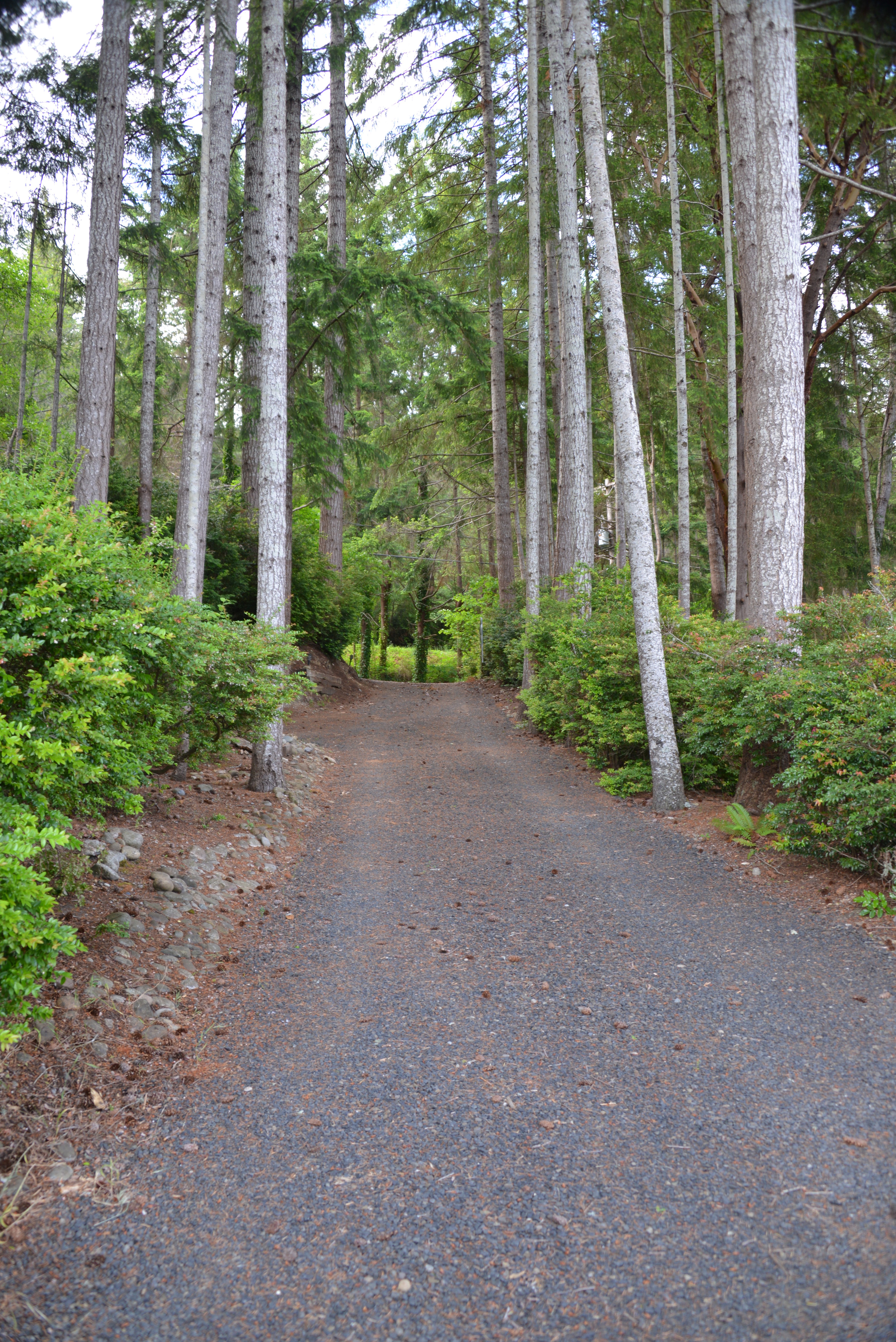 Photos of Waterfront Home for Sale on Hood Canal