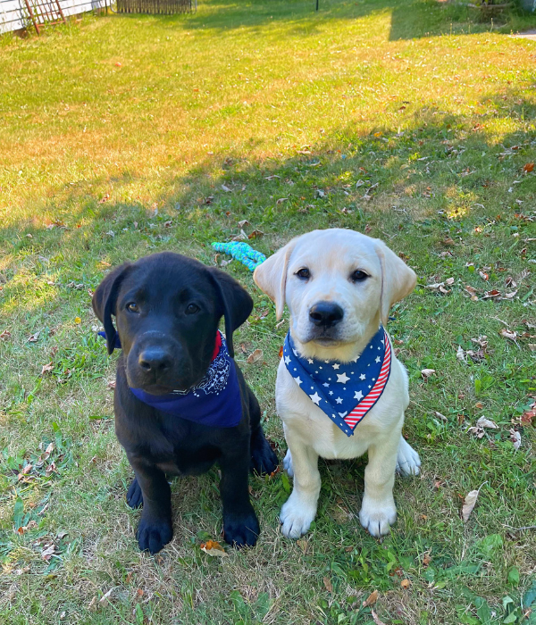 Alpine Veterinary Hospital Gallery | Vet In Hood River, OR